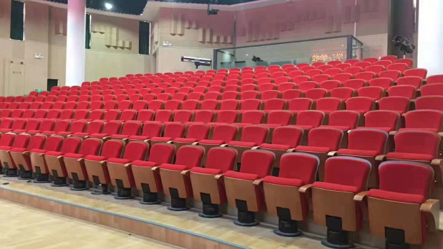 Armrest Auditorium Seating